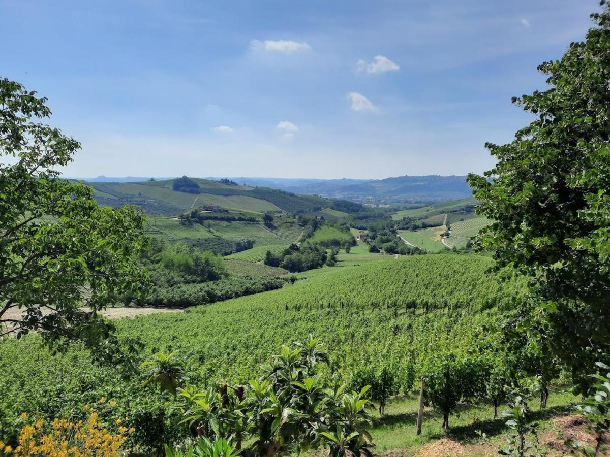 Ca Trifolera Barbaresco - Romantico Cascinale Con Antica Cantina Nel Cuore Delle Langhe - Degustazione Vini Nella Nostra Cantina Bagian luar foto