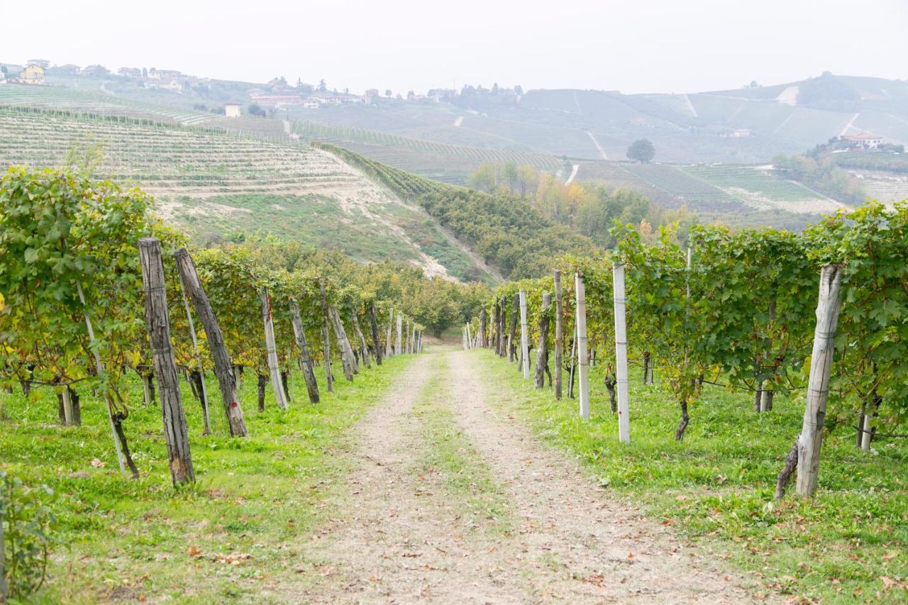 Ca Trifolera Barbaresco - Romantico Cascinale Con Antica Cantina Nel Cuore Delle Langhe - Degustazione Vini Nella Nostra Cantina Bagian luar foto