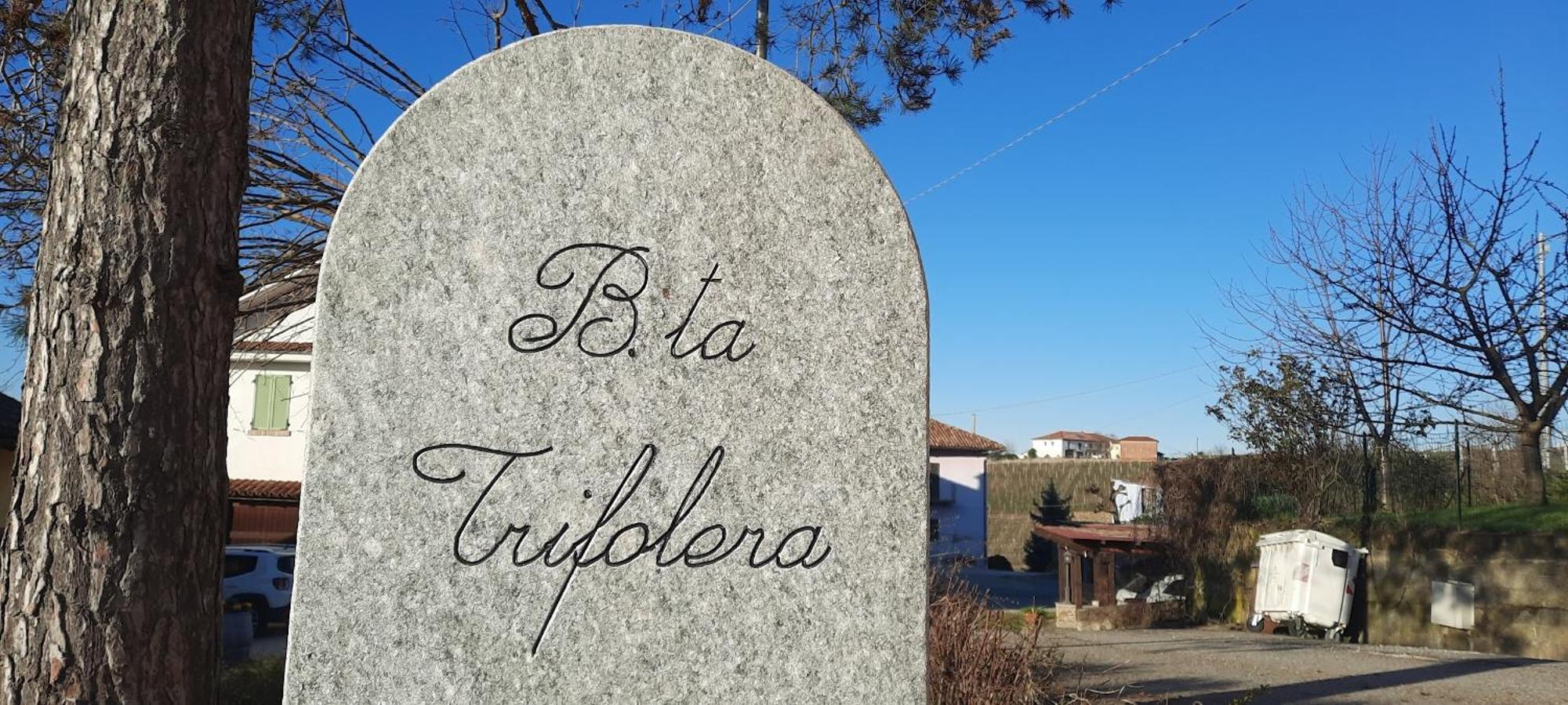 Ca Trifolera Barbaresco - Romantico Cascinale Con Antica Cantina Nel Cuore Delle Langhe - Degustazione Vini Nella Nostra Cantina Bagian luar foto