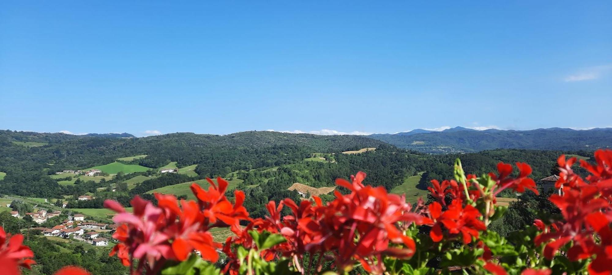 Ca Trifolera Barbaresco - Romantico Cascinale Con Antica Cantina Nel Cuore Delle Langhe - Degustazione Vini Nella Nostra Cantina Bagian luar foto