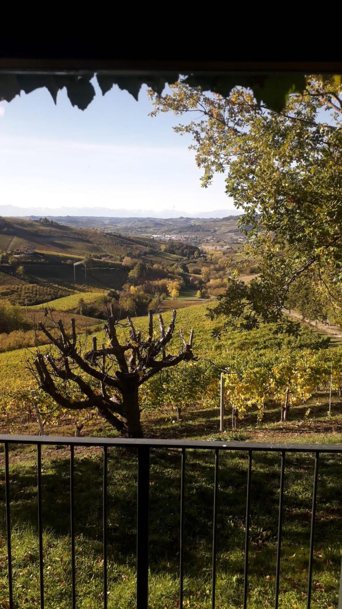 Ca Trifolera Barbaresco - Romantico Cascinale Con Antica Cantina Nel Cuore Delle Langhe - Degustazione Vini Nella Nostra Cantina Bagian luar foto