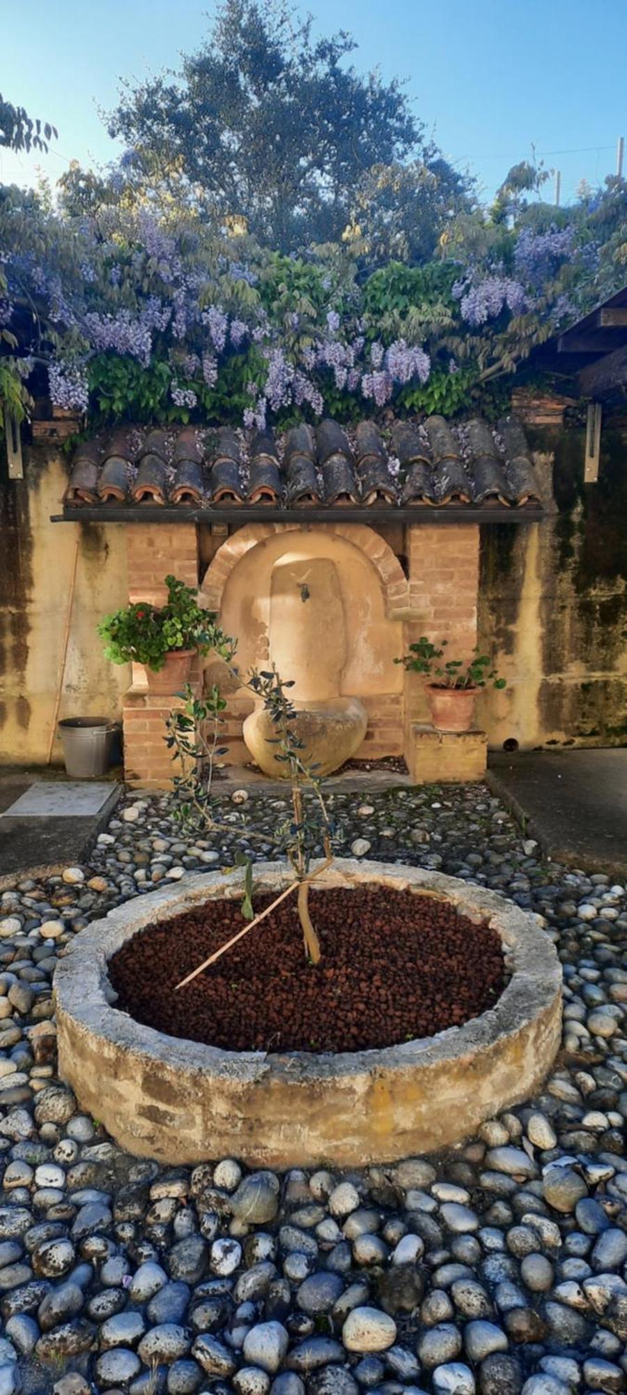 Ca Trifolera Barbaresco - Romantico Cascinale Con Antica Cantina Nel Cuore Delle Langhe - Degustazione Vini Nella Nostra Cantina Bagian luar foto