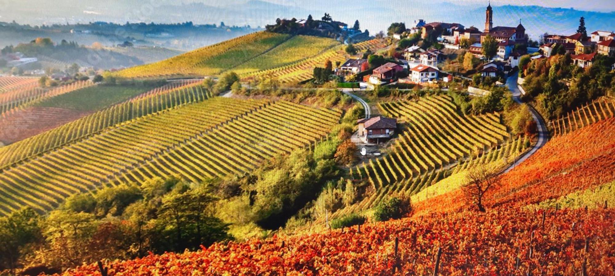 Ca Trifolera Barbaresco - Romantico Cascinale Con Antica Cantina Nel Cuore Delle Langhe - Degustazione Vini Nella Nostra Cantina Bagian luar foto