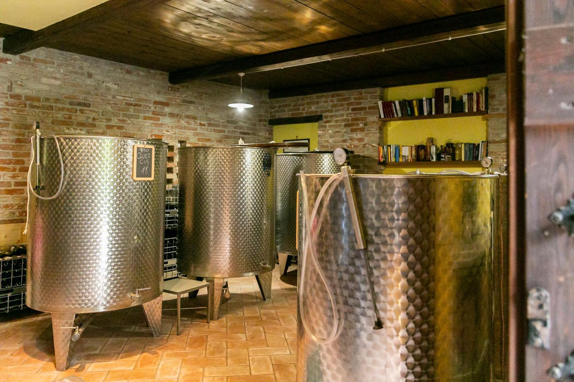 Ca Trifolera Barbaresco - Romantico Cascinale Con Antica Cantina Nel Cuore Delle Langhe - Degustazione Vini Nella Nostra Cantina Bagian luar foto