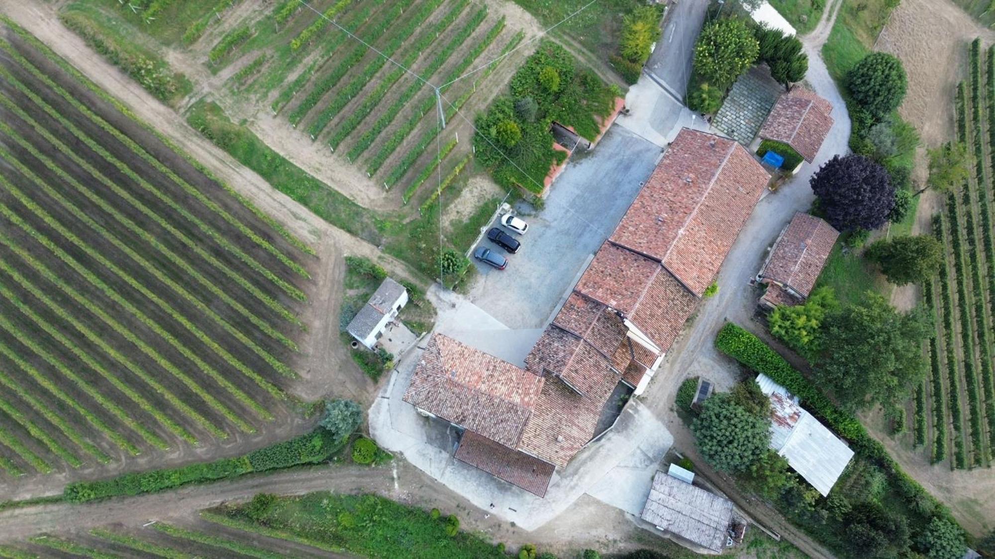 Ca Trifolera Barbaresco - Romantico Cascinale Con Antica Cantina Nel Cuore Delle Langhe - Degustazione Vini Nella Nostra Cantina Bagian luar foto