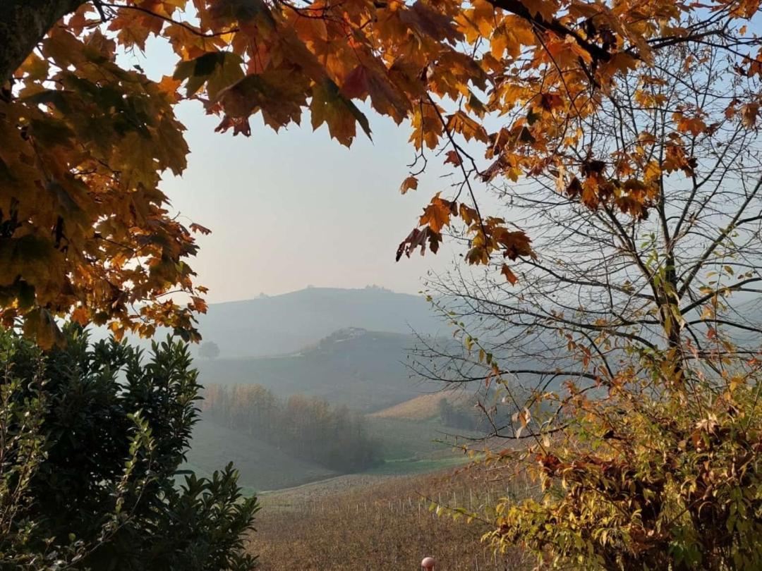 Ca Trifolera Barbaresco - Romantico Cascinale Con Antica Cantina Nel Cuore Delle Langhe - Degustazione Vini Nella Nostra Cantina Bagian luar foto